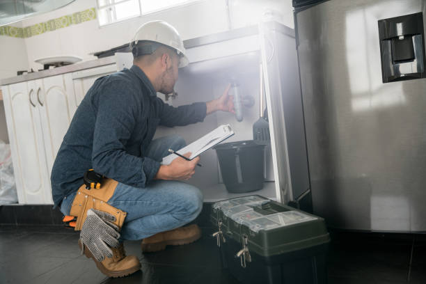 Best Local Plumber Services  in Cadillac, MI