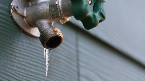 Best Same-Day Plumbing Service  in Cadillac, MI